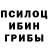Галлюциногенные грибы Psilocybe Xsylum