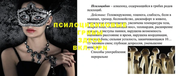 прущие крисы Абаза