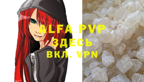 прущие крисы Абаза